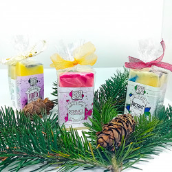 Assortiment Découverte Minis