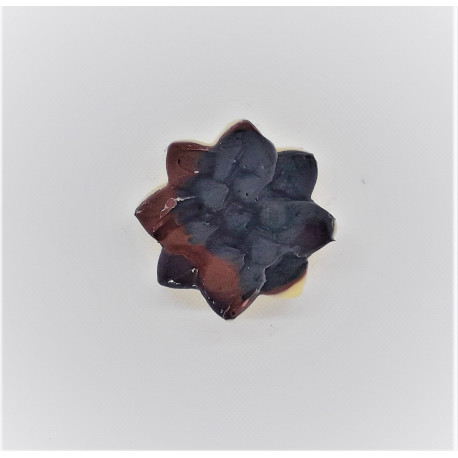 Savon Steam Aloe vera et Argan - surgras - Vegan